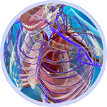 studio medico eur - chirurgia vascolare roma